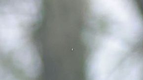 Luis Gamboa marcó los dos goles de México.