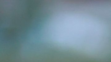 Luis Gamboa en la selección mexicana.