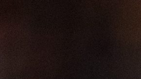 Tijuana, Baja California, 31 de agosto de 2025. Gilberto Mora, durante el partido correspondiente a la jornada 7 del torneo Apertura 2025 de la Liga BBVA MX, entre los Xolos de Tijuana y los Rayos del Necaxa, realizado en el estadio Caliente. Foto: Imago7/Alejandro Gutiérrez Mora