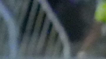 Mazatlán, Sinaloa, 24 de octubre de 2025. Ramón Juárez, durante el partido correspondiente a la jornada 15 del torneo Apertura 2025 de la Liga BBVA MX, entre los Cañoneros del Mazatlán FC y las Águilas del América, realizado en el estadio El Encanto. Foto: Imago7/ Diego Padilla