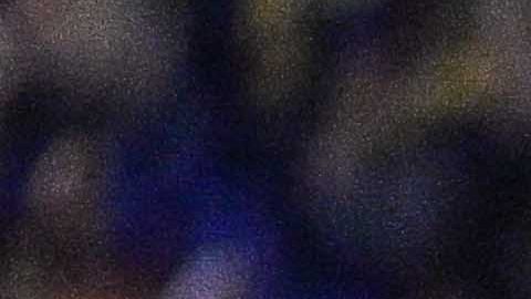 Ciudad de México, 1 de noviembre de 2025. Jaine Barreiro y Allan Saint - Maximin, durante el partido correspondiente a la jornada 16 del torneo Apertura 2025 de la Liga BBVA MX, entre las Águilas del América y los Esmeraldas del León, realizado en el estadio Ciudad de los Deportes. Foto: Imago7/ Alexis Chávez