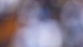 Ciudad de México, 2 de noviembre de 2025. José Juan Macías en festejo de gol, durante el partido correspondiente a la jornada 16 del torneo Apertura 2025 de la Liga BBVA MX, entre los Pumas de la UNAM y los Xolos de Tijuana, realizado en el estadio Olímpico Universitario. Foto: Imago7/ Manlio Contreras