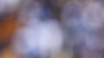 Ciudad de México, 2 de noviembre de 2025. José Juan Macías en festejo de gol, durante el partido correspondiente a la jornada 16 del torneo Apertura 2025 de la Liga BBVA MX, entre los Pumas de la UNAM y los Xolos de Tijuana, realizado en el estadio Olímpico Universitario. Foto: Imago7/ Manlio Contreras