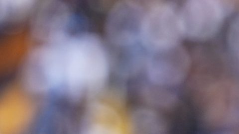 Ciudad de México, 2 de noviembre de 2025. José Juan Macías en festejo de gol, durante el partido correspondiente a la jornada 16 del torneo Apertura 2025 de la Liga BBVA MX, entre los Pumas de la UNAM y los Xolos de Tijuana, realizado en el estadio Olímpico Universitario. Foto: Imago7/ Manlio Contreras