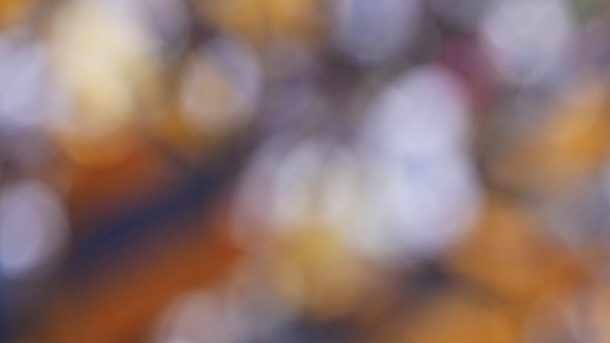 Ciudad de México, 2 de noviembre de 2025. José Juan Macías en festejo de gol, durante el partido correspondiente a la jornada 16 del torneo Apertura 2025 de la Liga BBVA MX, entre los Pumas de la UNAM y los Xolos de Tijuana, realizado en el estadio Olímpico Universitario. Foto: Imago7/ Manlio Contreras