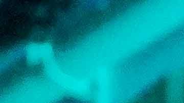 Pachuca, Hidalgo, 2 de noviembre de 2025. , durante el partido correspondiente a la jornada 16 del torneo Apertura 2025 de la Liga BBVA MX, entre los Tuzos del Pachuca y las Chivas Rayadas del Guadalajara, realizado en el estadio Hidalgo. Foto: Imago7 / Diego Padilla