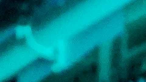 Pachuca, Hidalgo, 2 de noviembre de 2025. , durante el partido correspondiente a la jornada 16 del torneo Apertura 2025 de la Liga BBVA MX, entre los Tuzos del Pachuca y las Chivas Rayadas del Guadalajara, realizado en el estadio Hidalgo. Foto: Imago7 / Diego Padilla