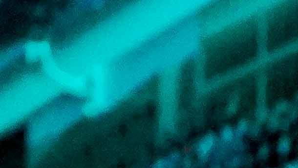 Pachuca, Hidalgo, 2 de noviembre de 2025. , durante el partido correspondiente a la jornada 16 del torneo Apertura 2025 de la Liga BBVA MX, entre los Tuzos del Pachuca y las Chivas Rayadas del Guadalajara, realizado en el estadio Hidalgo. Foto: Imago7 / Diego Padilla