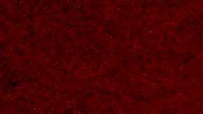 Jaime Lozano terminó su ciclo como DT de los Tuzos