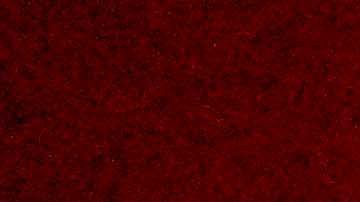 Jaime Lozano terminó su ciclo como DT de los Tuzos