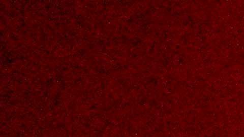 Jaime Lozano terminó su ciclo como DT de los Tuzos