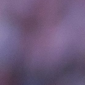 Armando González termina su contrato en un año.