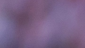 Armando González termina su contrato en un año.