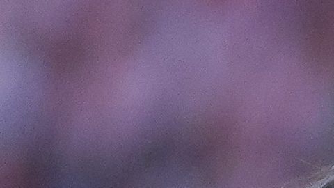 Armando González termina su contrato en un año.