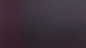 Chicharito junto a su "pupilo", Armando González.