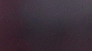 Chicharito junto a su "pupilo", Armando González.