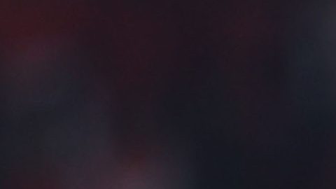 El delantero del América felicitó a Haití por su histórica clasificación.