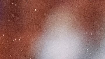 Tijuana, Baja California, 20 de noviembre de 2025. Gilberto Mora, durante el partido correspondiente al Play In del torneo Apertura 2025 de la Liga BBVA MX, entre los Xolos de Tijuana y los Bravos de FC Juárez, realizado en el estadio Caliente. Foto: Imago7/