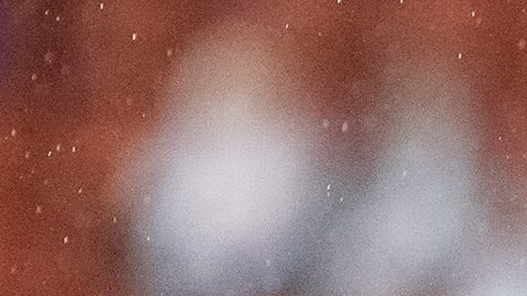 Tijuana, Baja California, 20 de noviembre de 2025. Gilberto Mora, durante el partido correspondiente al Play In del torneo Apertura 2025 de la Liga BBVA MX, entre los Xolos de Tijuana y los Bravos de FC Juárez, realizado en el estadio Caliente. Foto: Imago7/