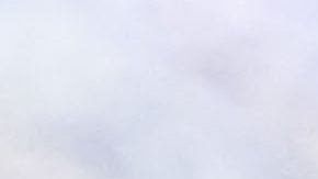 Jugadoras de Tigres celebran su séptimo título de Liga.