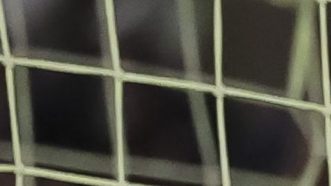 Ciudad Juárez, Chihuahua, 26 de noviembre de 2025. , durante el partido correspondiente a la ida de los Cuartos de Final del torneo Apertura 2025 de la Liga BBVA MX, entre los Bravos de FC Juárez y los Diablos Rojos del Toluca, realizado en el estadio Olímpico Benito Juárez. Foto: Imago7/ Rafael Vadillo