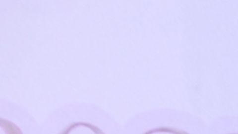 Imelda Tuñón habló sobre el audio filtrado en el que su hijo habla mal de Maribel Guardia.