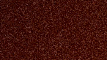 Trees sway in high winds as the Eaton Fire burns structures Wednesday, Jan. 8, 2025 in Altadena, Calif. (AP Photo/Ethan Swope)