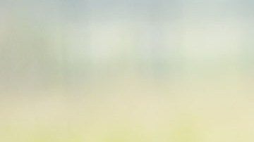 Jared Isaacman, visionario empresario aeroespacial