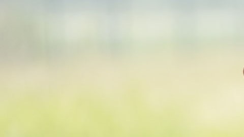 Jared Isaacman, visionario empresario aeroespacial