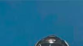 Jorge Armando "El Licenciado"