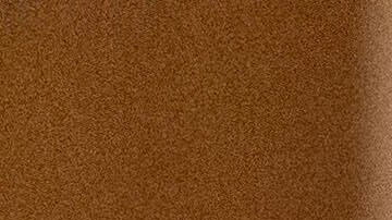 El nuevo Formulario ETA-9089 ya no recopila información sobre los requisitos mínimos de la oportunidad laboral.