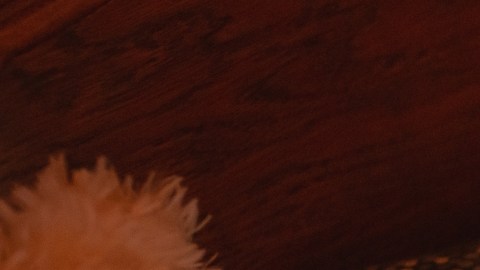 Cambio de horario: oportunidad para reajustar horas de sueño del adolescente