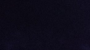 Julio César Chávez Jr.