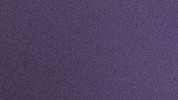 Julio César Chávez Jr.