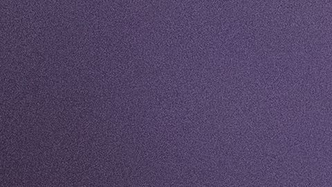 Julio César Chávez Jr.