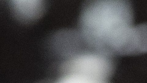 Julio César Chávez Jr.