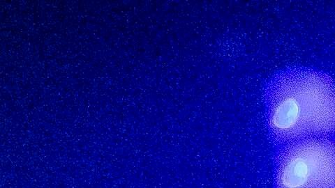 Keith Urban volvió a los escenarios tras su separación de Nicole Kidman.