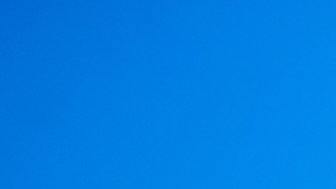 Kohl's apuesta por un nuevo líder en medio de cambios constantes en la gerencia