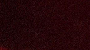 Se revela la causa de la muerte de Ace Frehley, cofundador de KISS