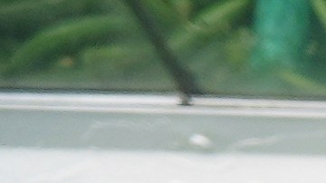 Los votantes latinos de California priorizan la economía y opinan que continúa empeorando.