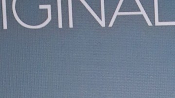 Laura Flores Lalo Salazar