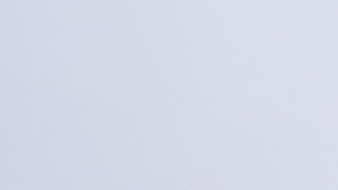 Tourists from Poland carry umbrellas as rain falls while visiting the Griffith Observatory Tuesday, Oct. 14, 2025, in Los Angeles. (AP Photo/Damian Dovarganes)