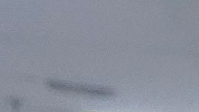 Shohei Ohtani de los Dodgers de Los Ángeles celebra la conquista del título de la División Oeste de la Liga Nacional, el jueves 25 de septiembre de 2025, en Phoenix. (AP Foto/Darryl Webb)