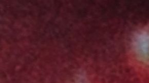 Ludwika Paleta recordó el duelo que vivió tras su divorcio con Plutarco Haza.