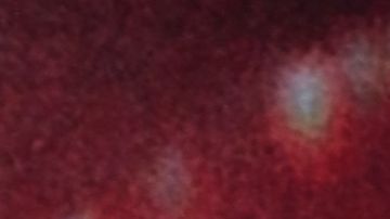 Ludwika Paleta recordó el duelo que vivió tras su divorcio con Plutarco Haza.