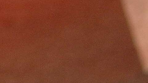 Adrián Marcelo tilda de "enferma mental" a Manola Díez y criticar a 'La Granja VIP'