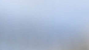 Marjorie Taylor Greene, representante por Georgia