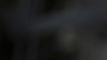 Marjorie Taylor Greene, representante por Georgia