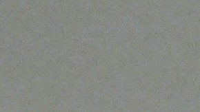 Kelly dice que todos tenemos derecho a la libertad de expresión amparado por la Primera Enmienda.