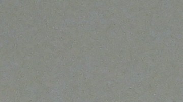 Kelly dice que todos tenemos derecho a la libertad de expresión amparado por la Primera Enmienda.